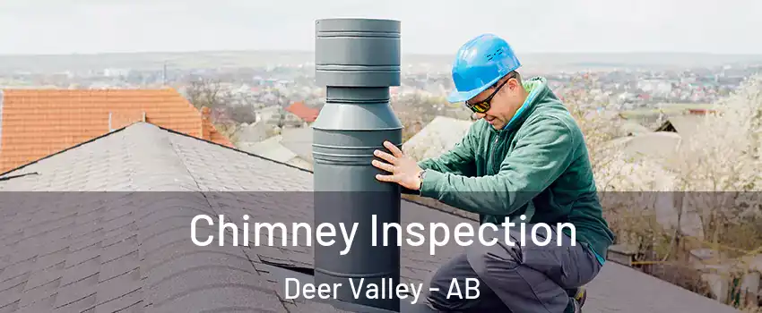  Chimney Inspection Deer Valley - AB
