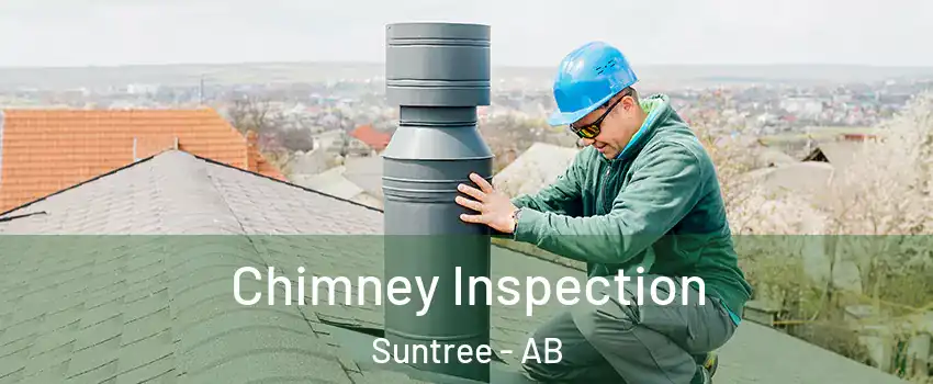  Chimney Inspection Suntree - AB