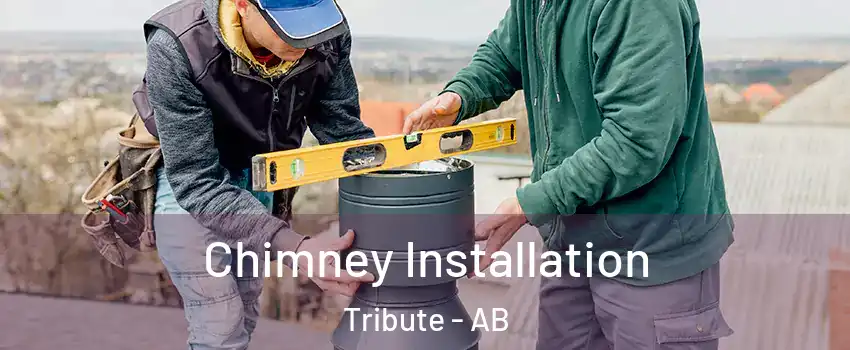  Chimney Installation Tribute - AB