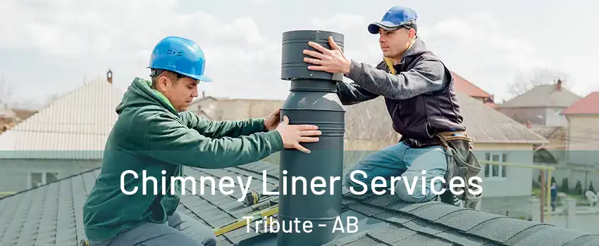  Chimney Liner Services Tribute - AB