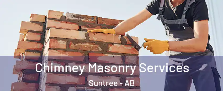  Chimney Masonry Services Suntree - AB
