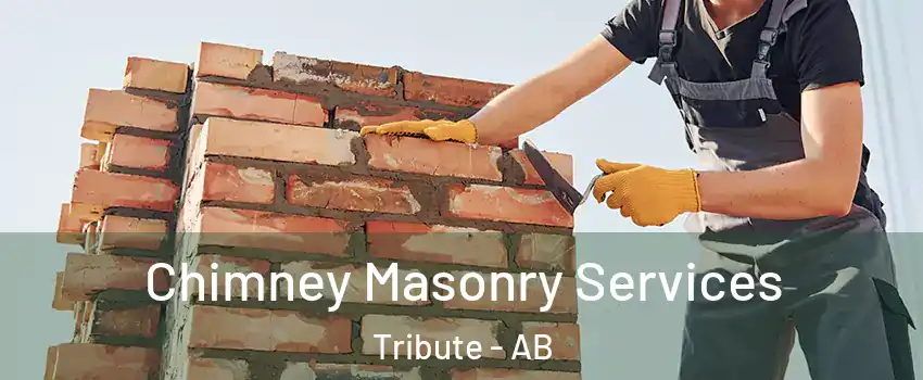  Chimney Masonry Services Tribute - AB
