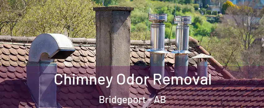  Chimney Odor Removal Bridgeport - AB