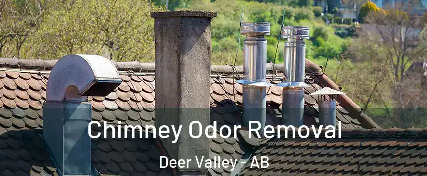 Chimney Odor Removal Deer Valley - AB