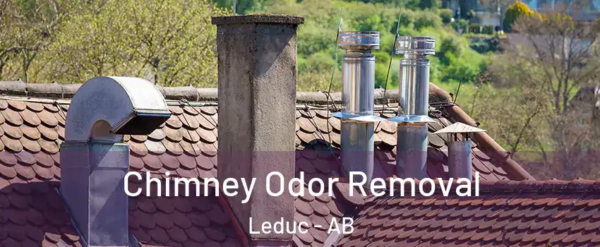  Chimney Odor Removal Leduc - AB