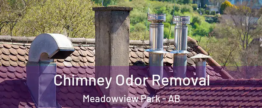  Chimney Odor Removal Meadowview Park - AB