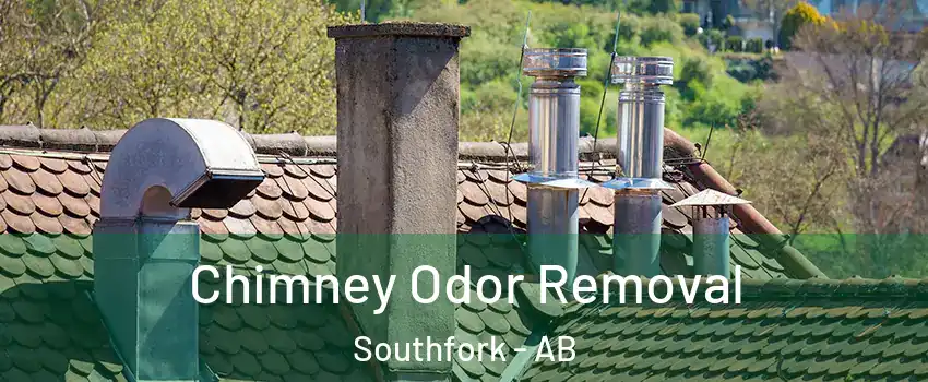  Chimney Odor Removal Southfork - AB