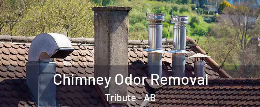  Chimney Odor Removal Tribute - AB