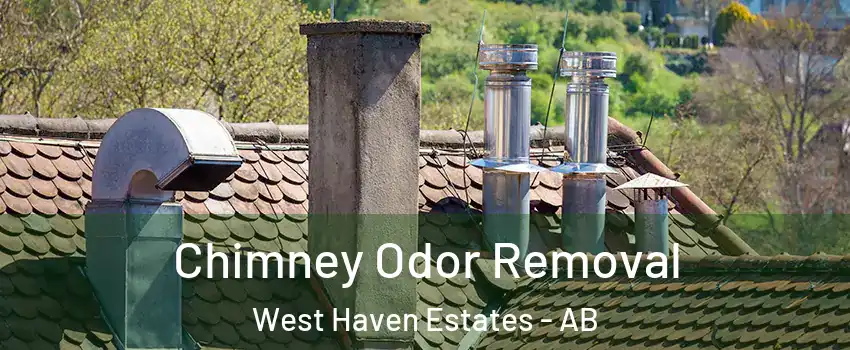  Chimney Odor Removal West Haven Estates - AB