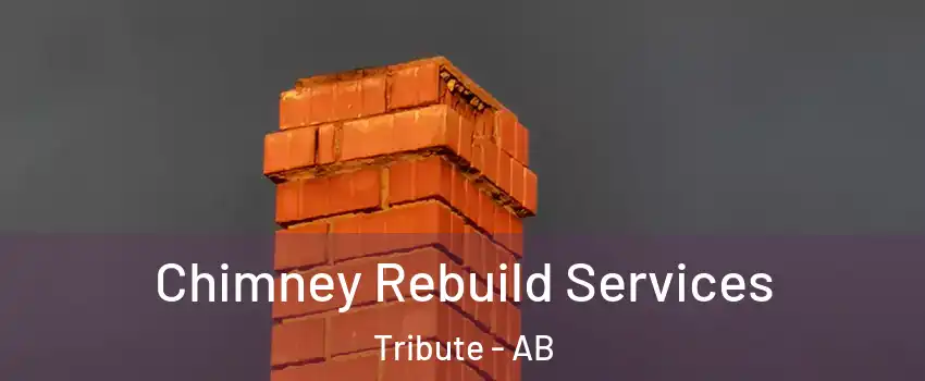  Chimney Rebuild Services Tribute - AB