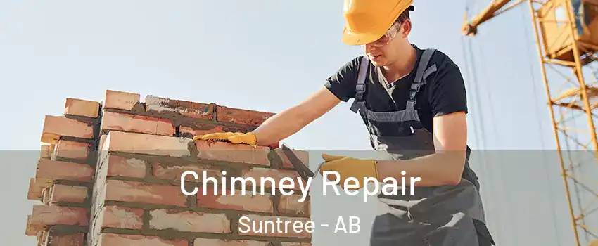  Chimney Repair Suntree - AB