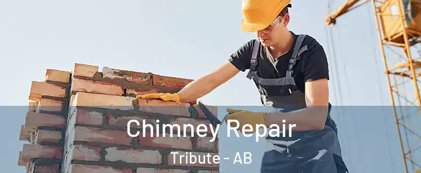  Chimney Repair Tribute - AB