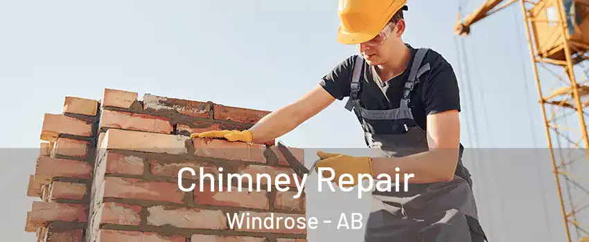  Chimney Repair Windrose - AB