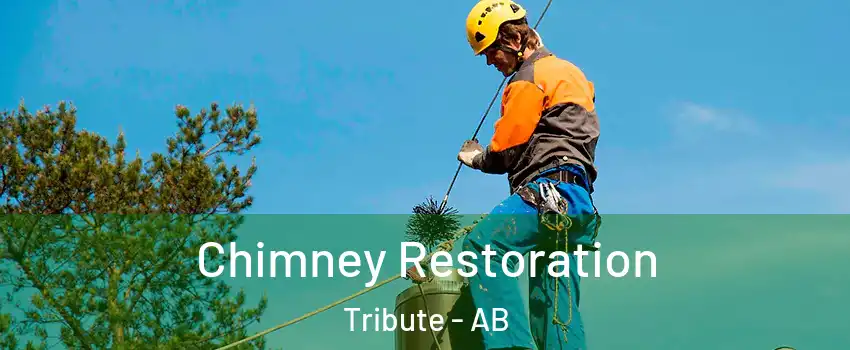  Chimney Restoration Tribute - AB