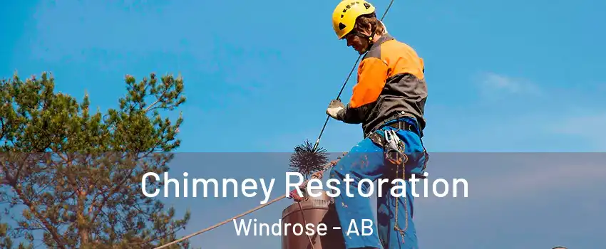  Chimney Restoration Windrose - AB
