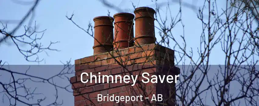  Chimney Saver Bridgeport - AB