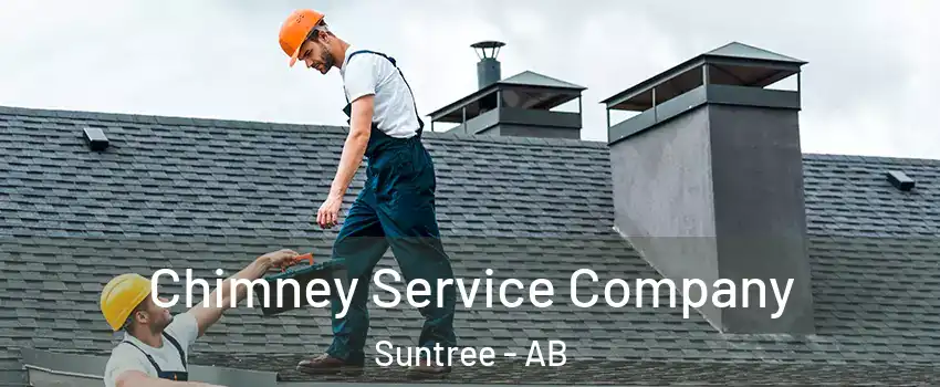  Chimney Service Company Suntree - AB