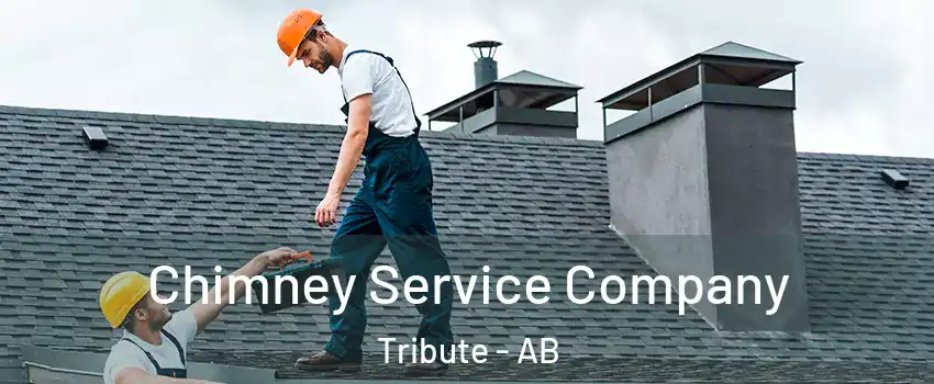  Chimney Service Company Tribute - AB