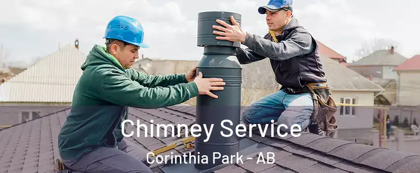  Chimney Service Corinthia Park - AB