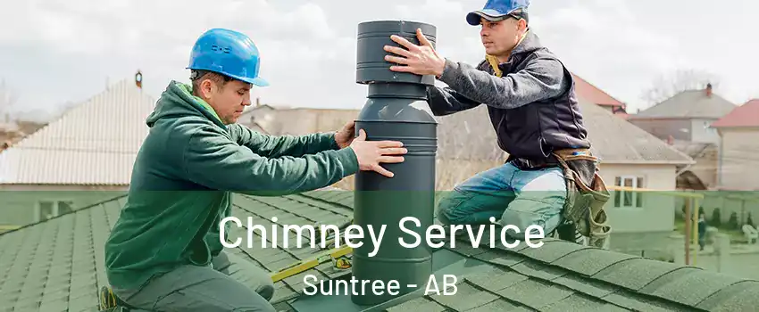  Chimney Service Suntree - AB