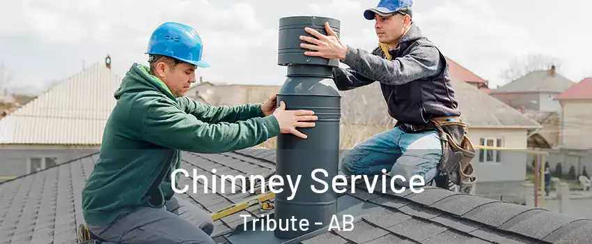  Chimney Service Tribute - AB