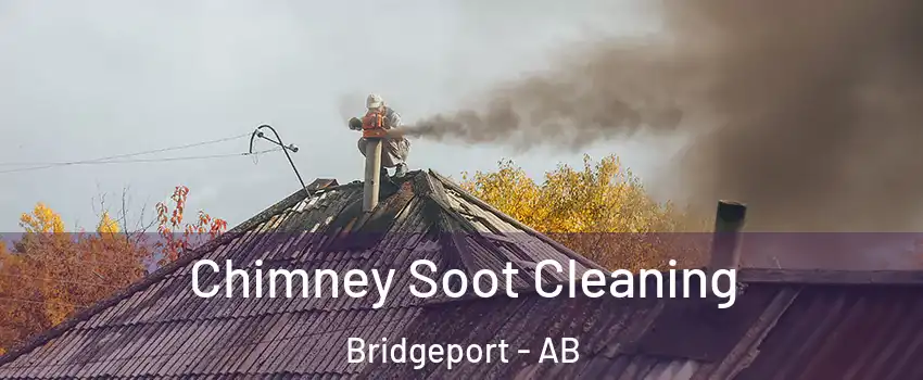  Chimney Soot Cleaning Bridgeport - AB