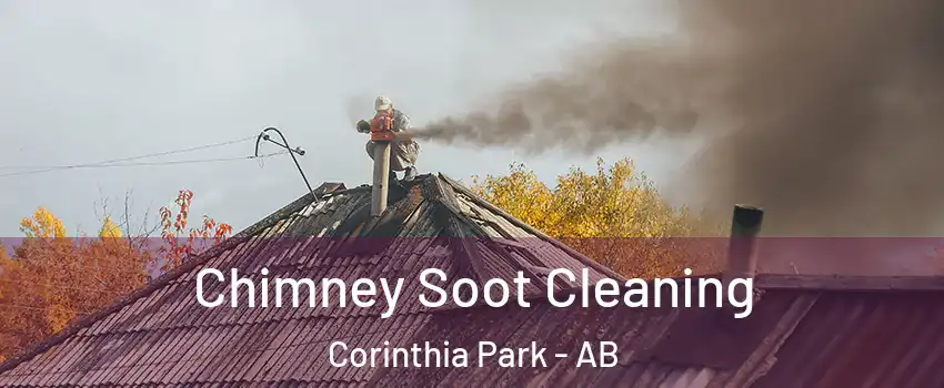  Chimney Soot Cleaning Corinthia Park - AB