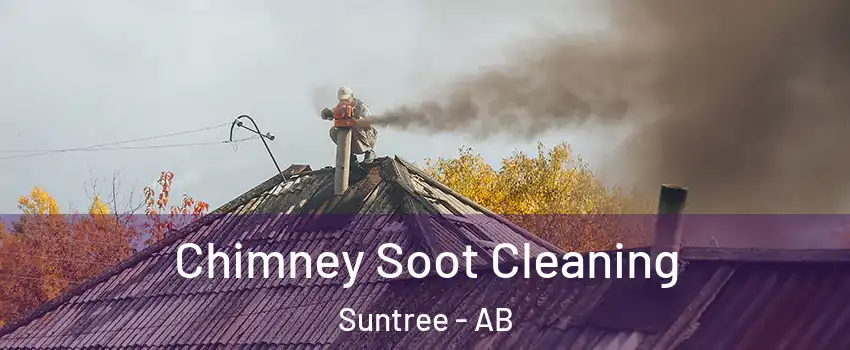  Chimney Soot Cleaning Suntree - AB