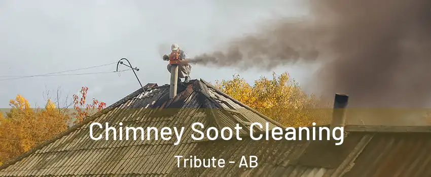  Chimney Soot Cleaning Tribute - AB