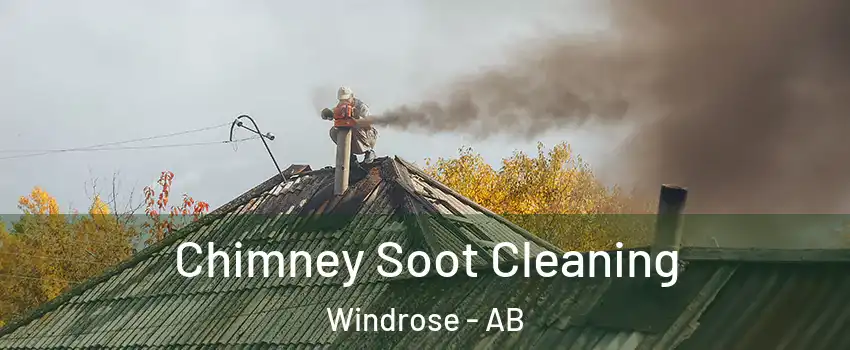  Chimney Soot Cleaning Windrose - AB