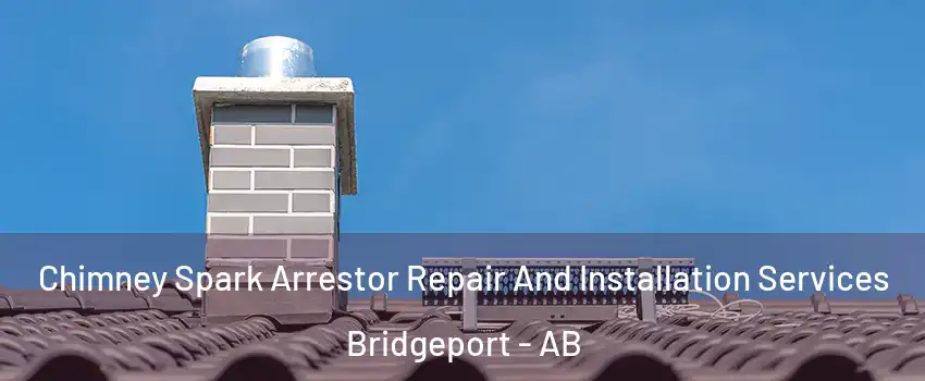  Chimney Spark Arrestor Repair And Installation Services Bridgeport - AB