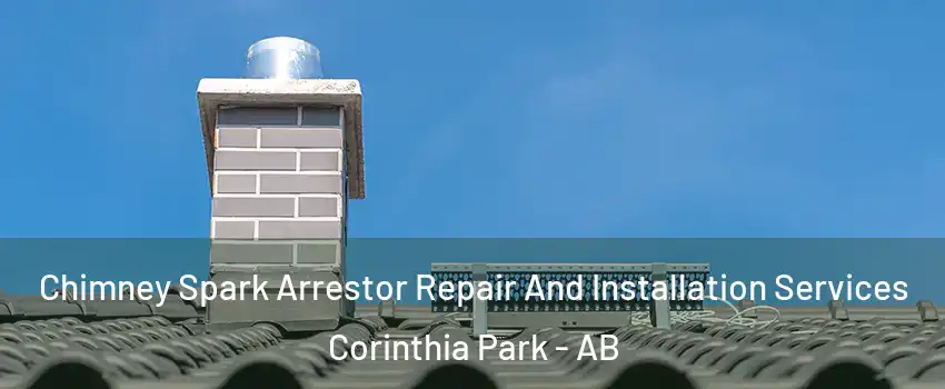  Chimney Spark Arrestor Repair And Installation Services Corinthia Park - AB