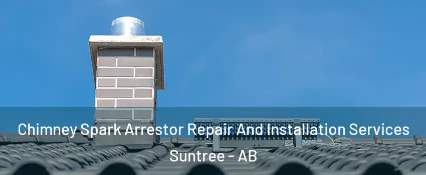  Chimney Spark Arrestor Repair And Installation Services Suntree - AB
