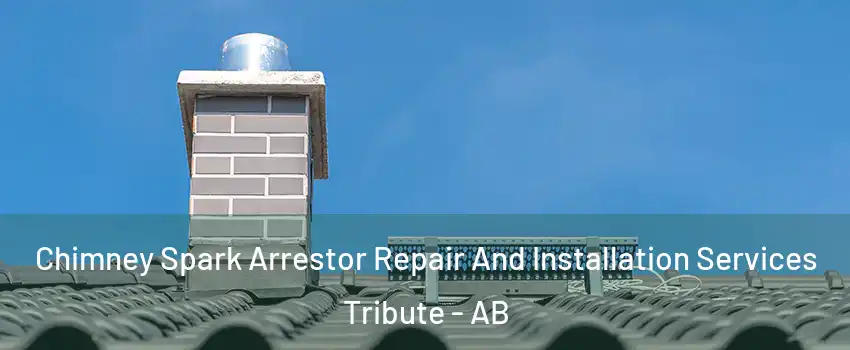  Chimney Spark Arrestor Repair And Installation Services Tribute - AB