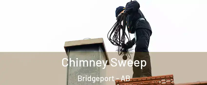  Chimney Sweep Bridgeport - AB