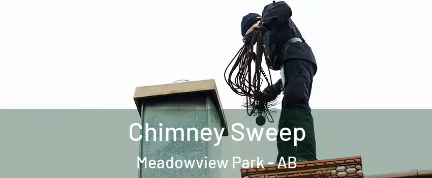  Chimney Sweep Meadowview Park - AB