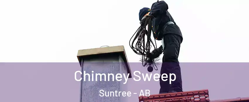  Chimney Sweep Suntree - AB