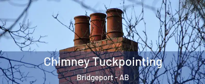  Chimney Tuckpointing Bridgeport - AB