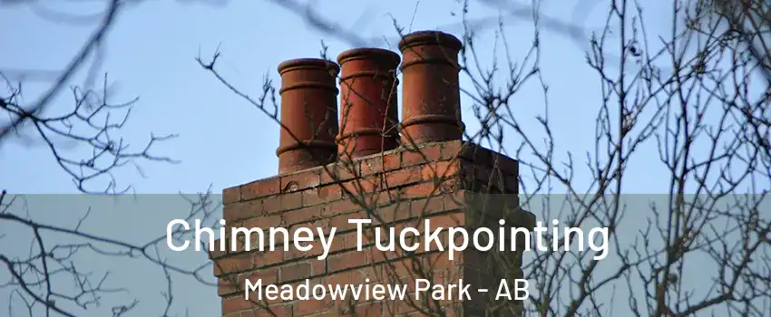  Chimney Tuckpointing Meadowview Park - AB