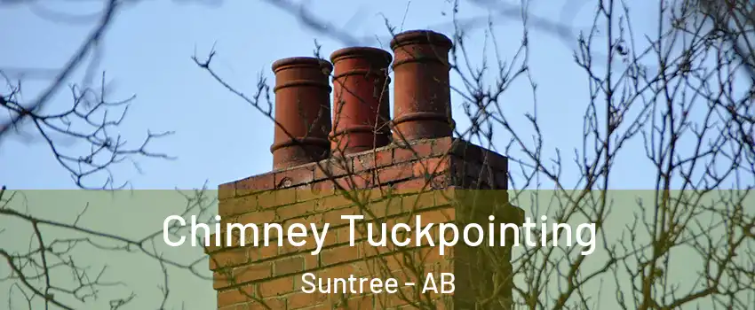 Chimney Tuckpointing Suntree - AB