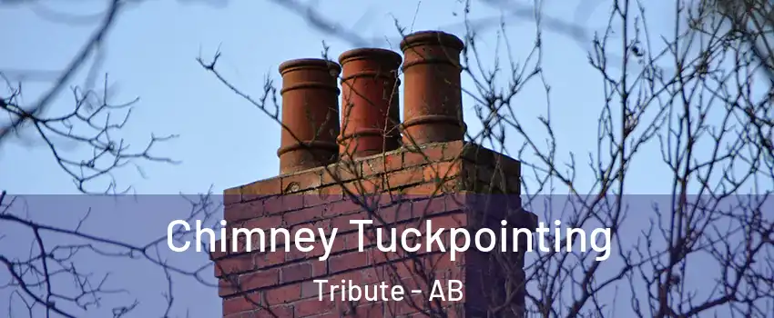  Chimney Tuckpointing Tribute - AB