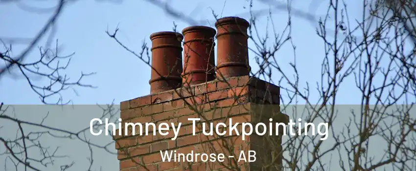  Chimney Tuckpointing Windrose - AB
