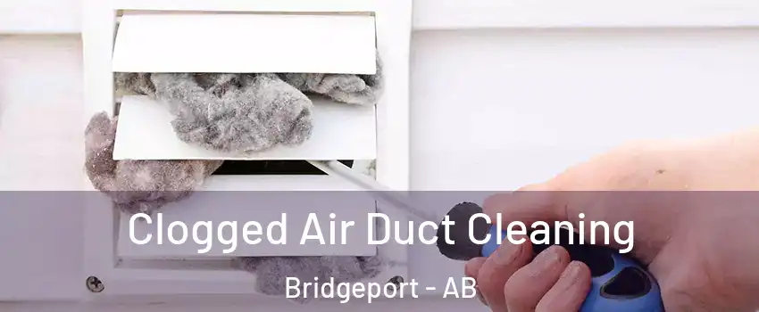  Clogged Air Duct Cleaning Bridgeport - AB