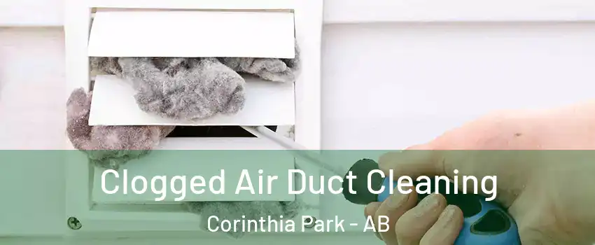  Clogged Air Duct Cleaning Corinthia Park - AB