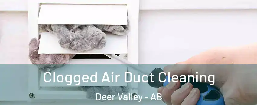  Clogged Air Duct Cleaning Deer Valley - AB