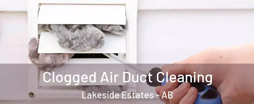  Clogged Air Duct Cleaning Lakeside Estates - AB