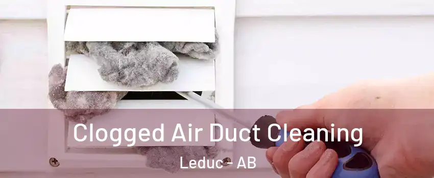  Clogged Air Duct Cleaning Leduc - AB