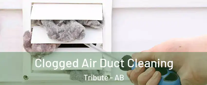  Clogged Air Duct Cleaning Tribute - AB