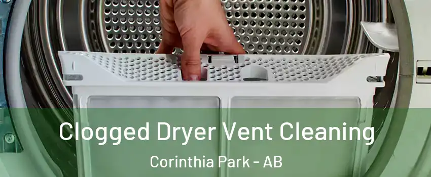 Clogged Dryer Vent Cleaning Corinthia Park - AB