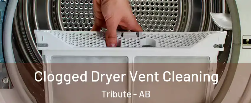  Clogged Dryer Vent Cleaning Tribute - AB